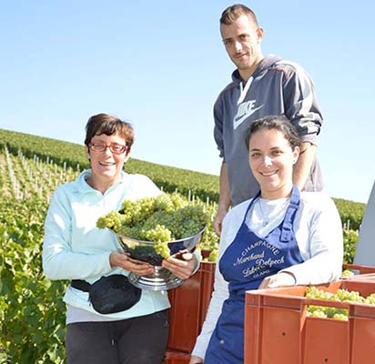 Champagne Marchand Delpech Laborie - Exploitation